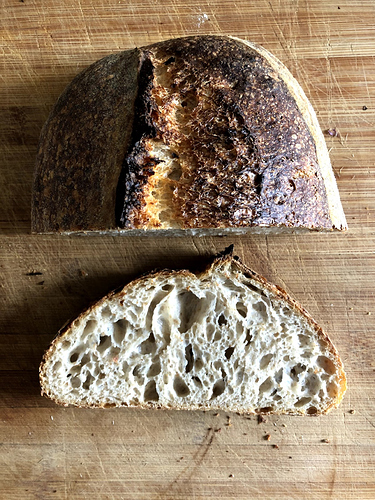 Basic open crumb