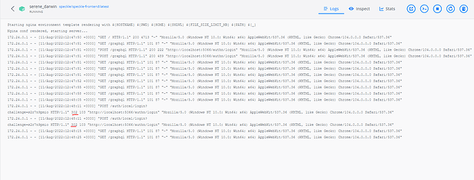 Speckle front end 4 - Speckle Server logs