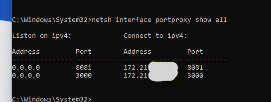 netsh proxy